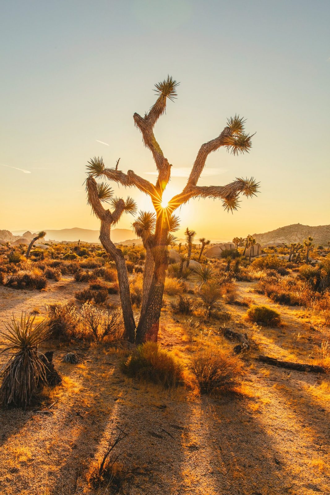 Getting Your RV Ready for the Upcoming Desert Season: Ensuring Optimum Shade with Well-Maintained Awnings